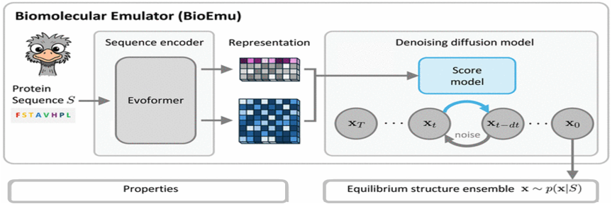 clementi science paper