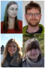 New PhD Board New PhD Board